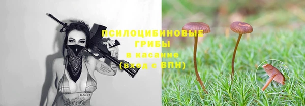 спиды Беломорск