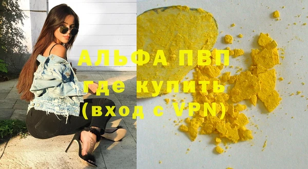 ешки Белокуриха