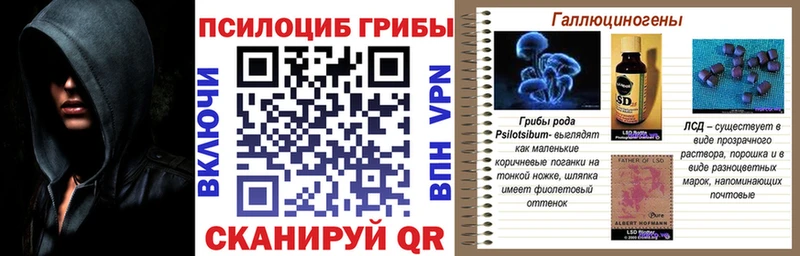Псилоцибиновые грибы мицелий  магазин    Михайлов 